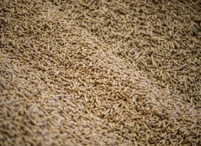 Fogões a pellets PelletPrima